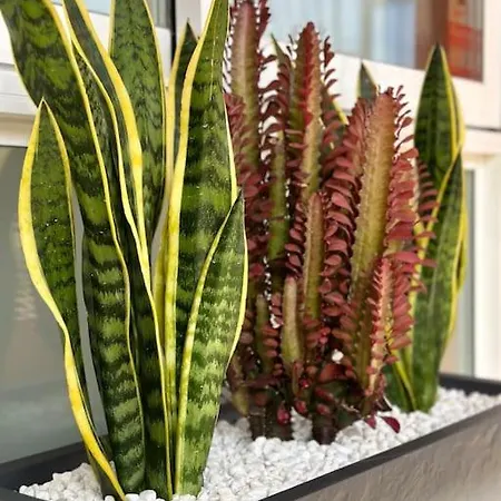 Apartment Arena Torremolinos