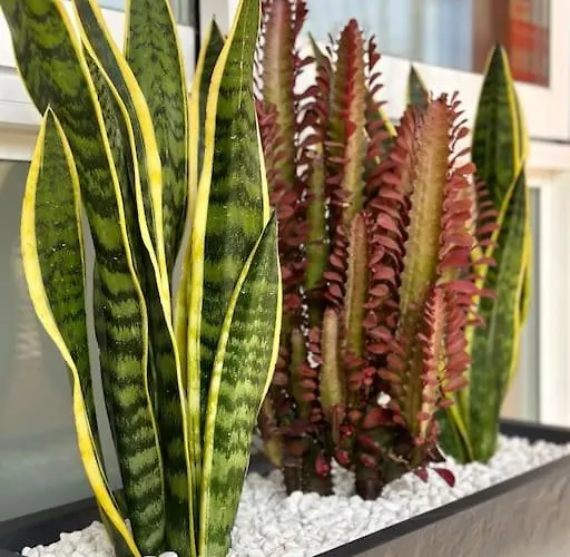 Апартаменты Arena Торремолинос